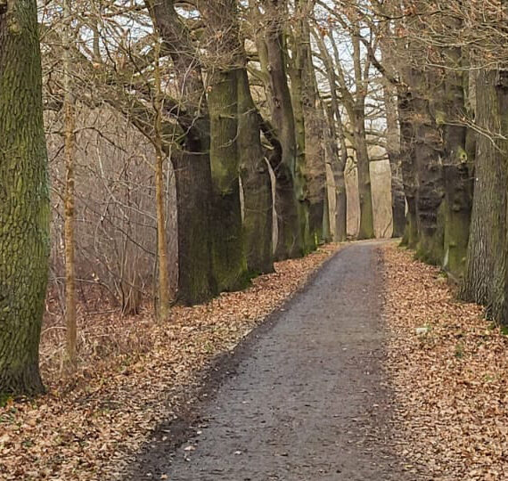 20.09.2024 | Ausstellungseröffnung „Spaziergang entlang Spremberger Alleen“